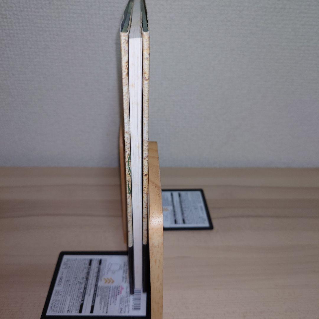 標本箱の少年 建石修志 画集