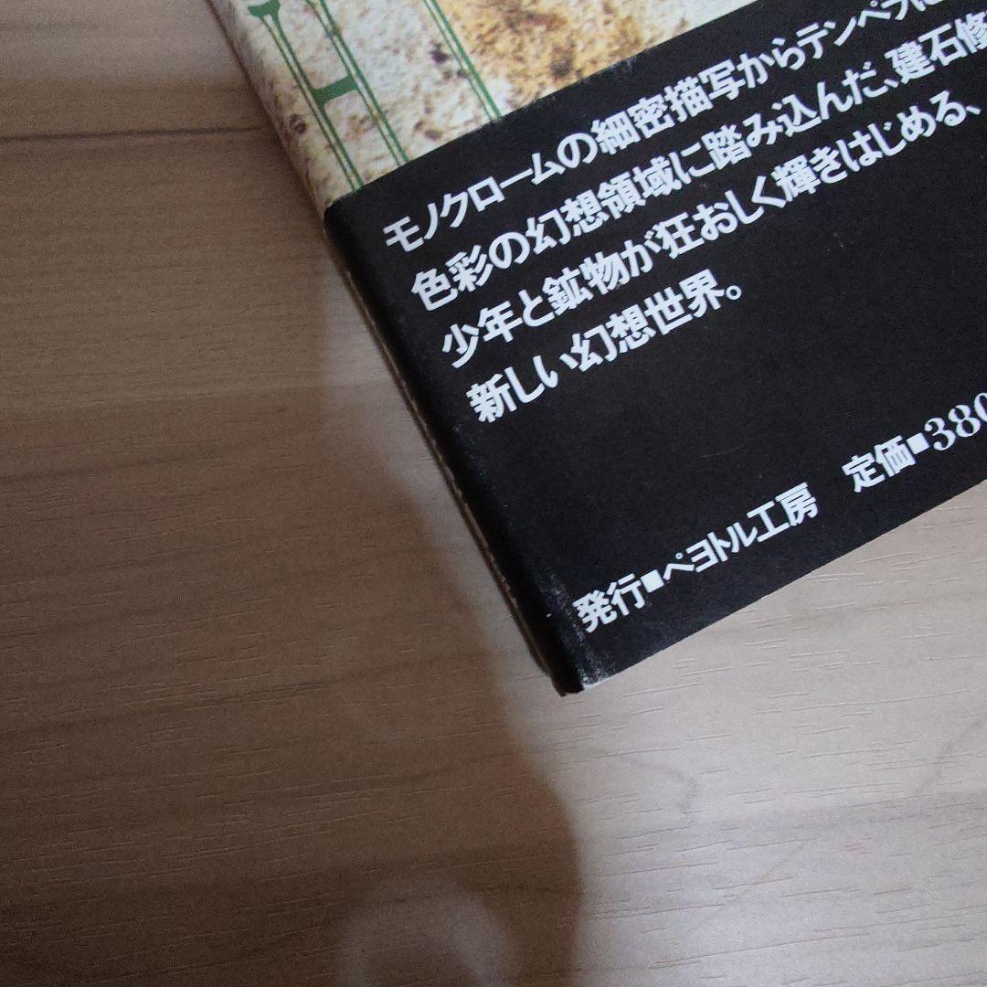 標本箱の少年 建石修志 画集