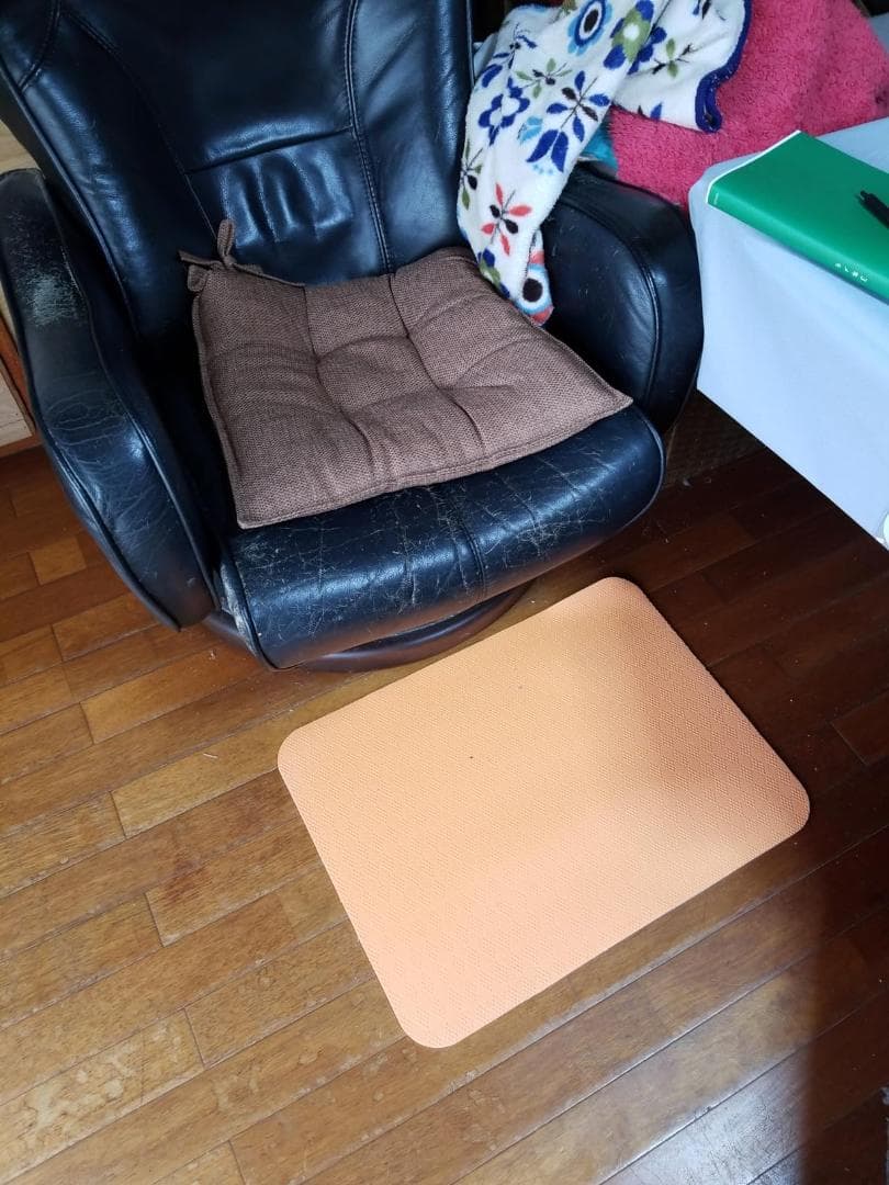 サンコー 立ち上がりマット OR(オレンジ) 60×45cm AF-35*