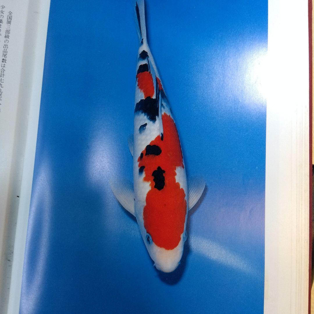 錦鯉品評会記念誌　鱗王大鑑