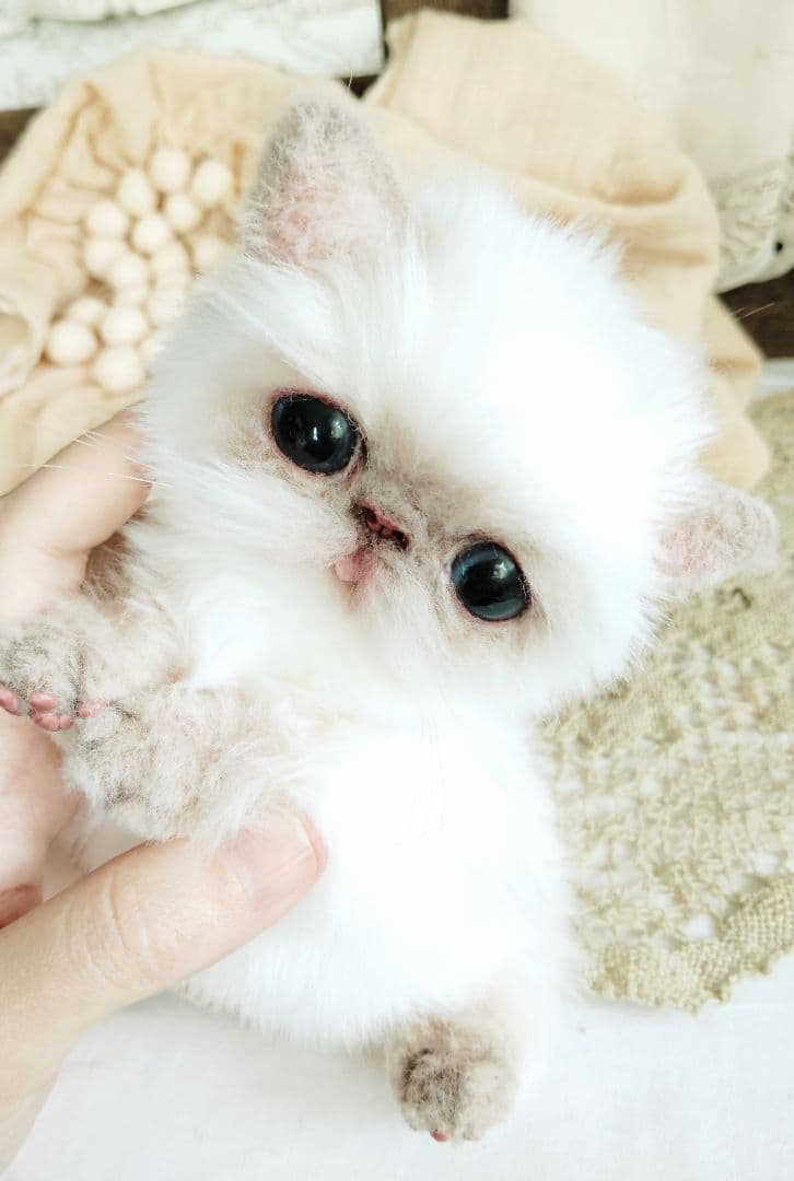 エキゾチック子猫ちゃん♡春生まれのサクラちゃん♡アートドール♡ぬいぐるみ♡