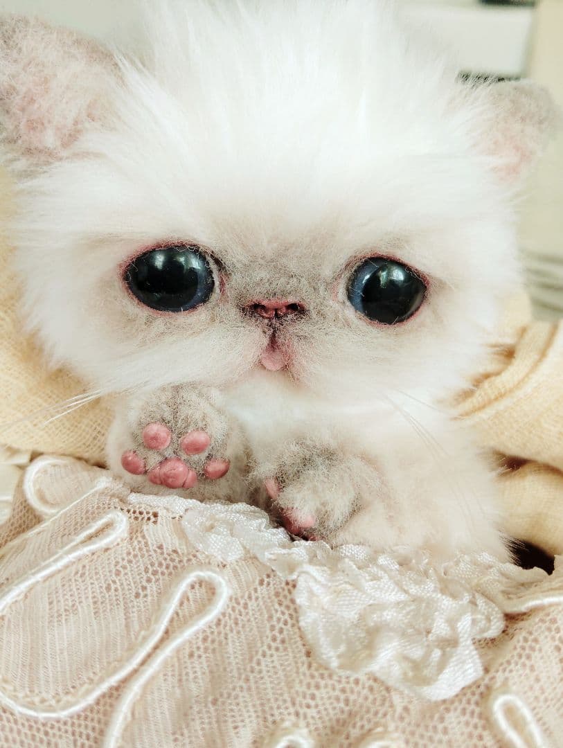 エキゾチック子猫ちゃん♡春生まれのサクラちゃん♡アートドール♡ぬいぐるみ♡