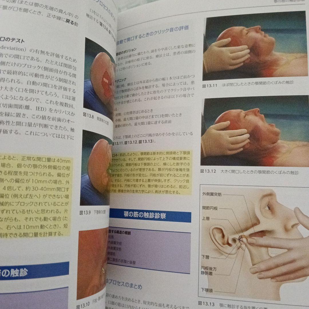 療法士のための体表解剖学