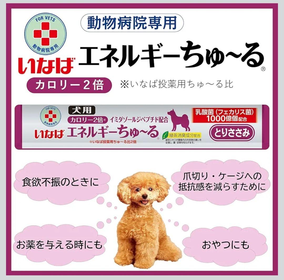 チビすけ