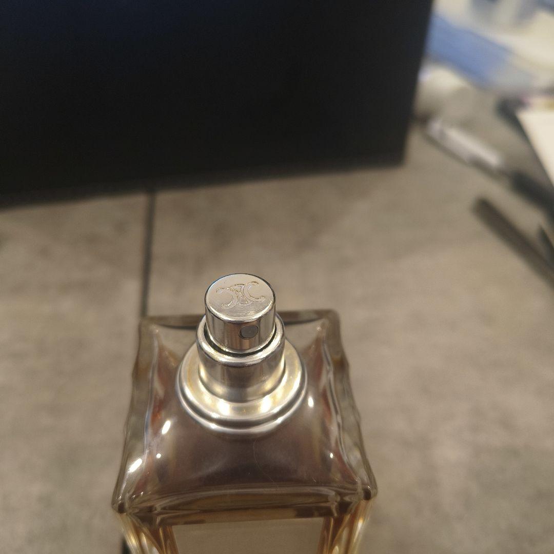 CELINE Black Tie ブラックタイ 100ml エディスリマン