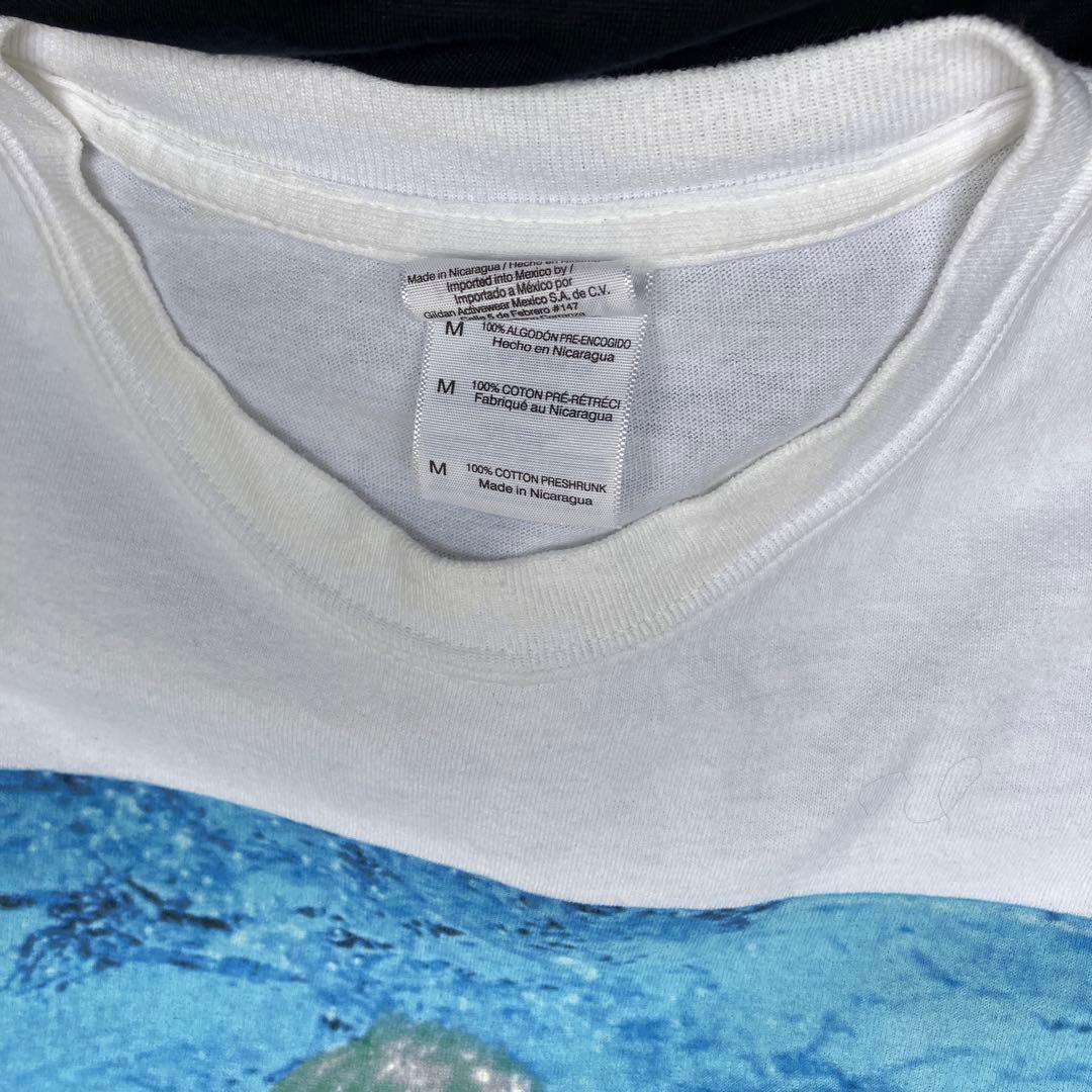 031 ニルバーナ nirvana 2002年製　ヴィンテージ Tシャツ