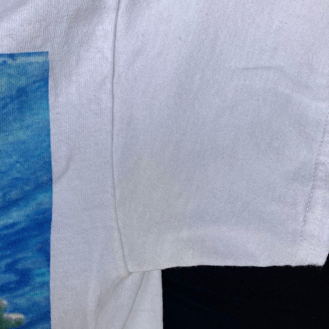 031 ニルバーナ nirvana 2002年製　ヴィンテージ Tシャツ