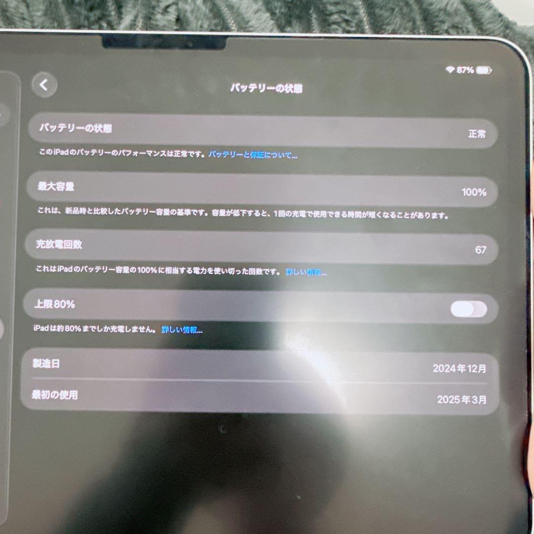 M4 iPad Pro 11インチ 256gb