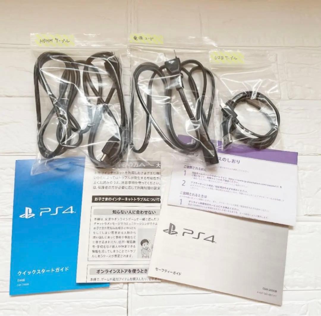 プレステーション4 本体セット