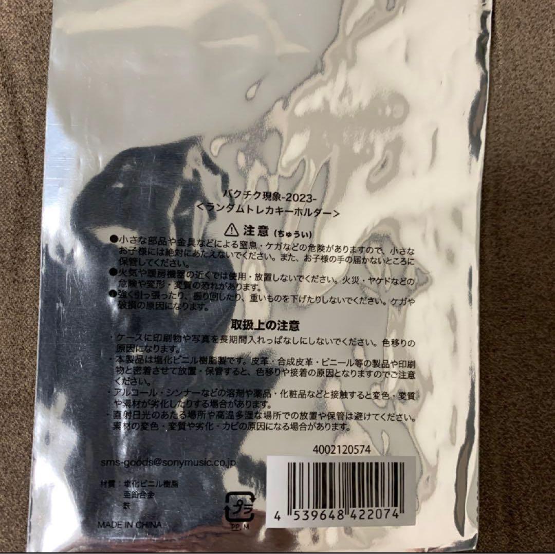 本日限定価格　櫻井敦司　バクチク現象2023 トレカキーホルダー