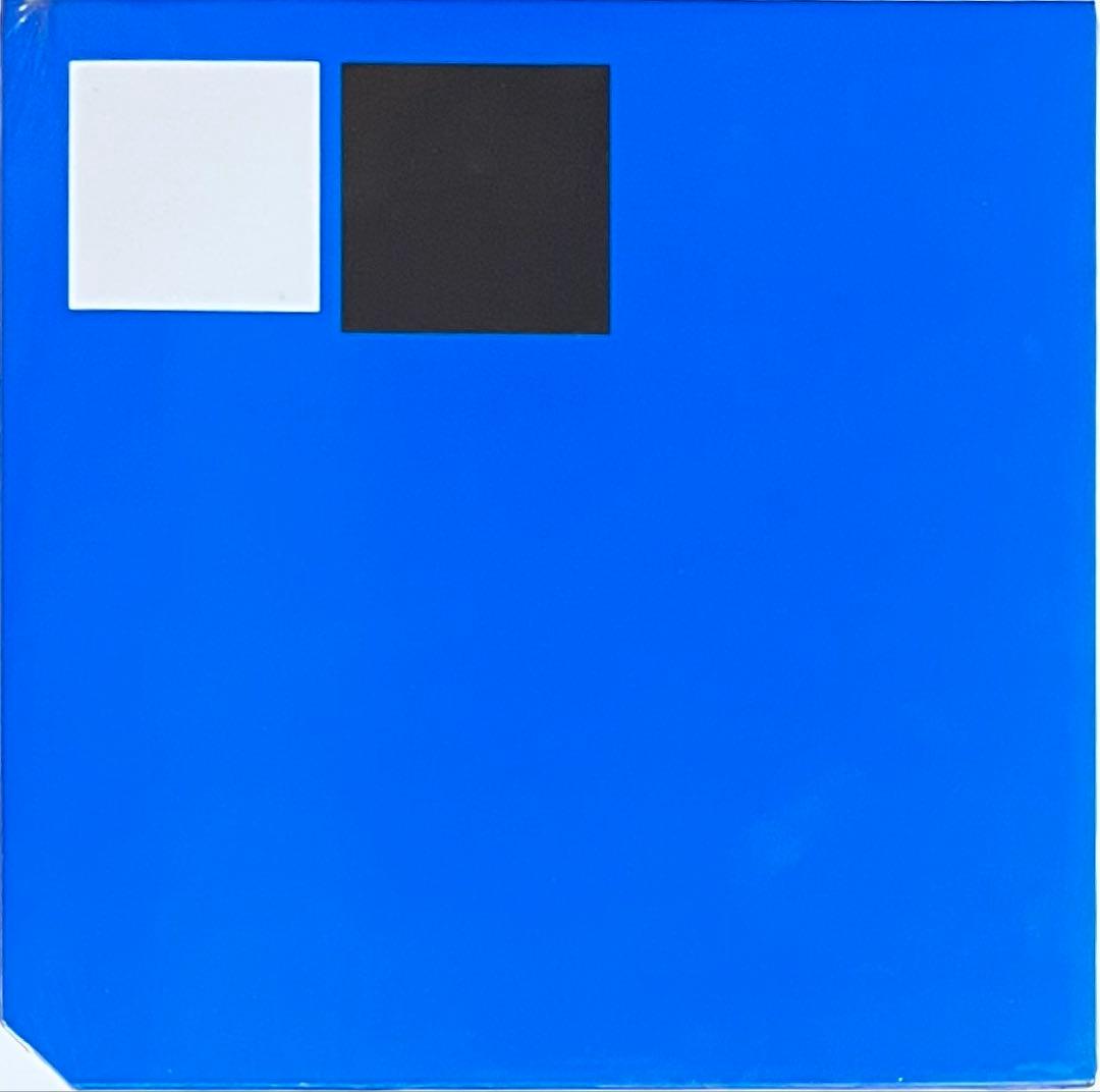 Autechre Quaristice オウテカ クアリスティス Vinyl