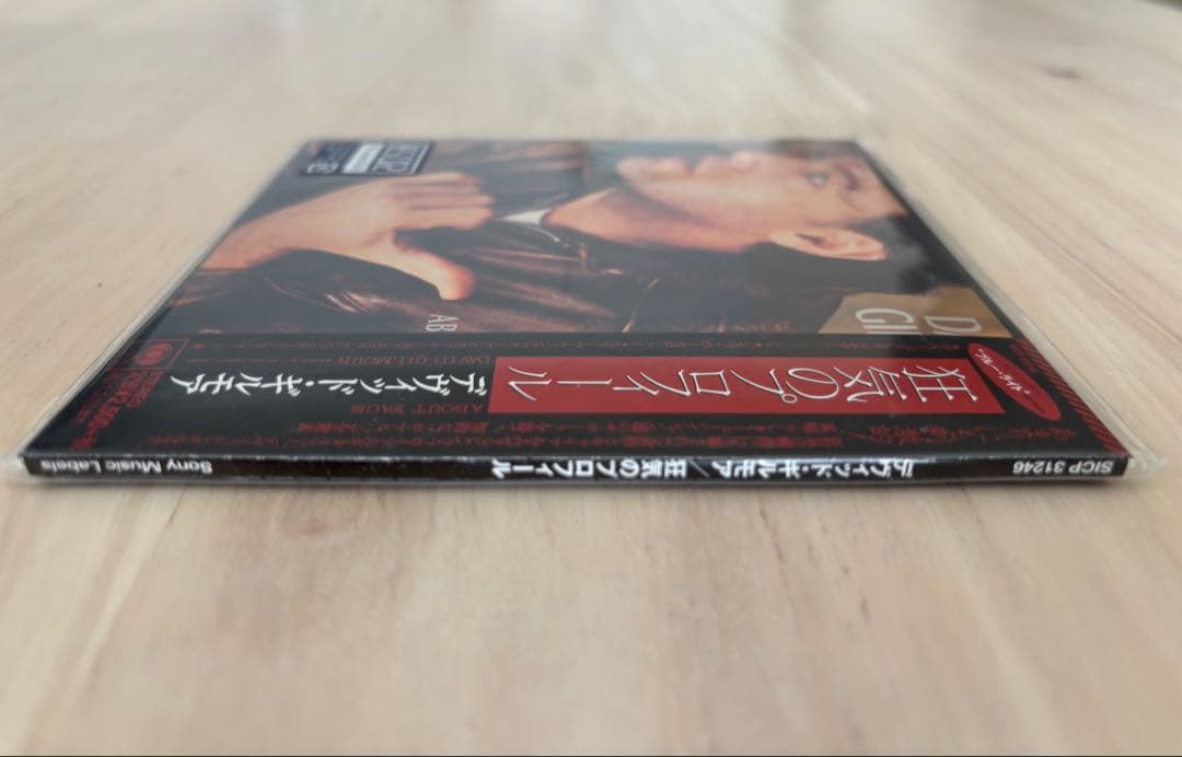 デヴィッド・ギルモア 「狂気のプロフィール」限定盤 紙ジャケット 新品未開封