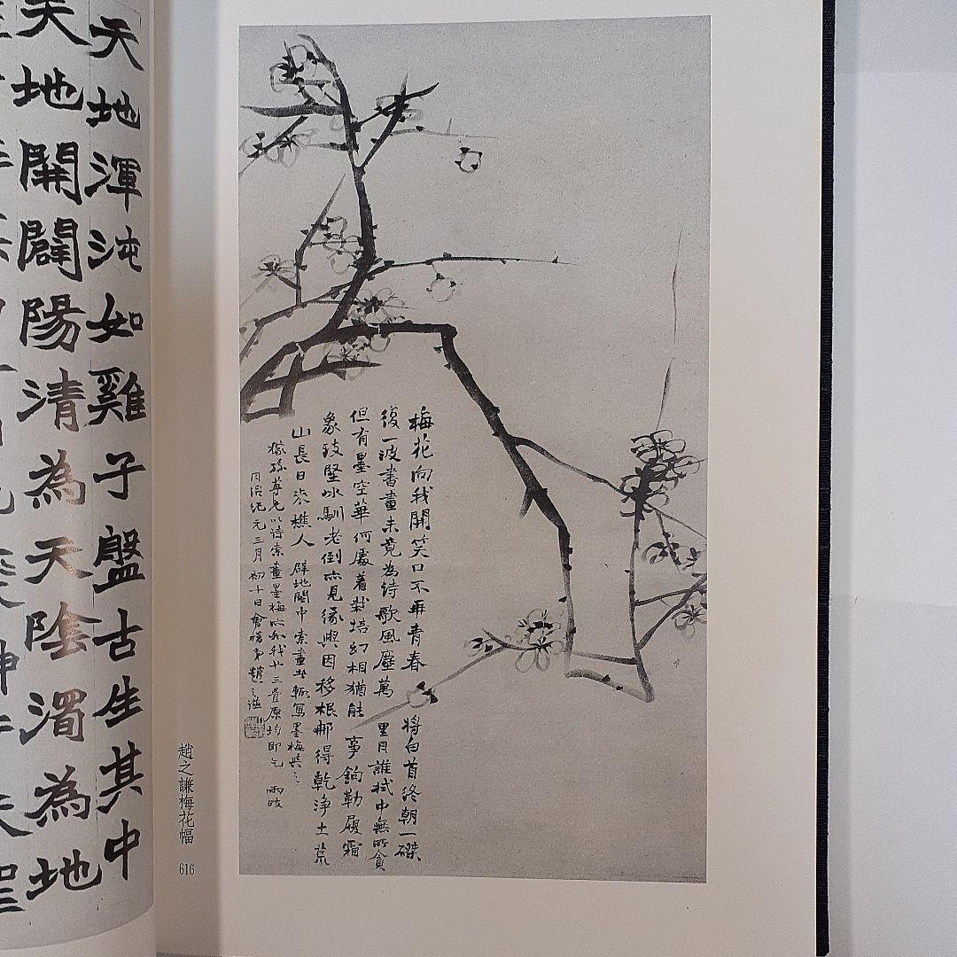 金石家書畫集　二巻セット　中国書道　二玄社