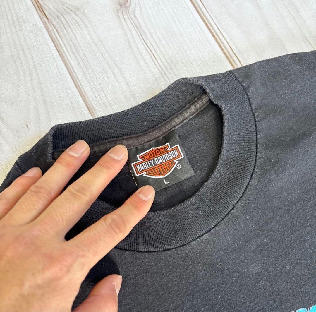 ④【状態良】Harley Davidson funwearTシャツ サンダー