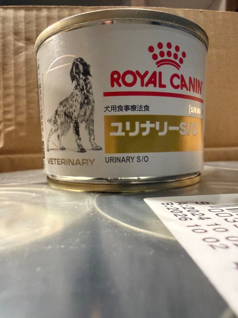  CANIN ユリナリー S/O 10缶入り