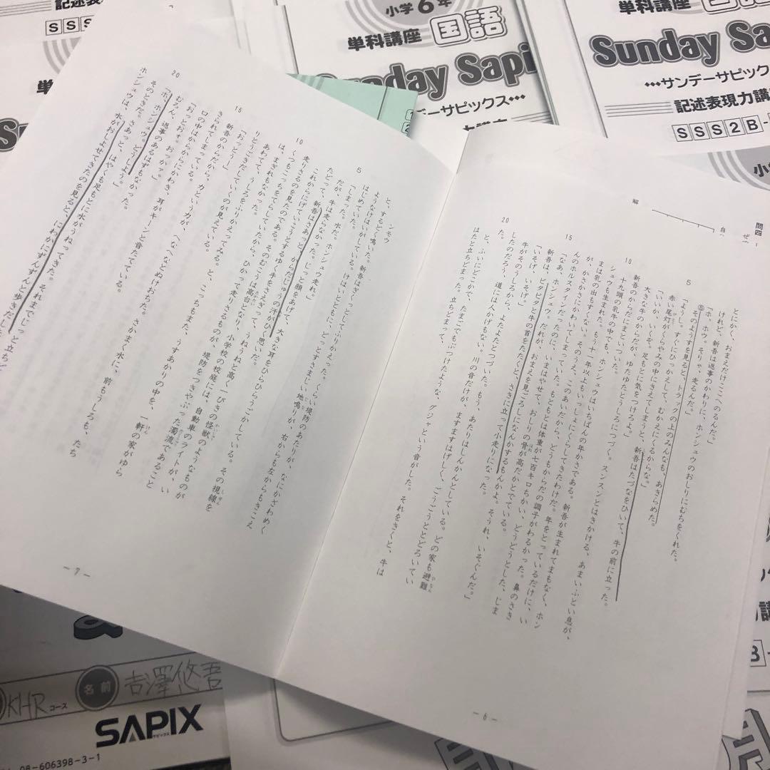 サピックス　国語　SS特訓　記述表現力講座全１４回　２０２２年度版　中古
