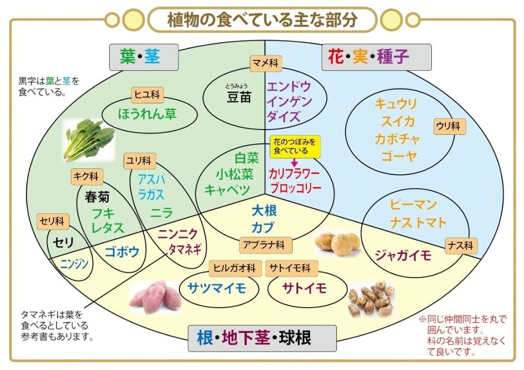あき商品