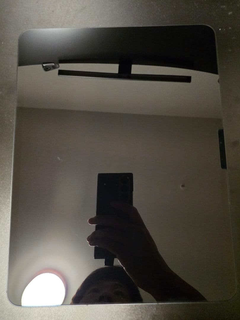 iPad Pro M4 13インチ256GB Cellular