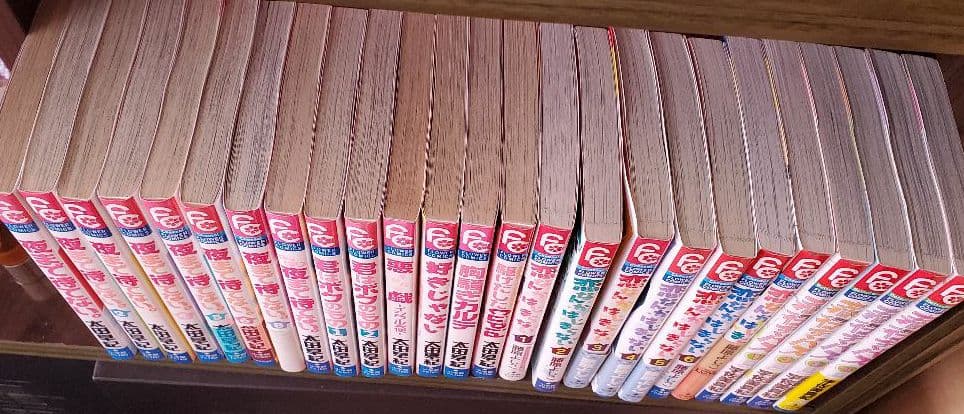 ⚫フラワーコミック少女漫画 25冊まとめ売り