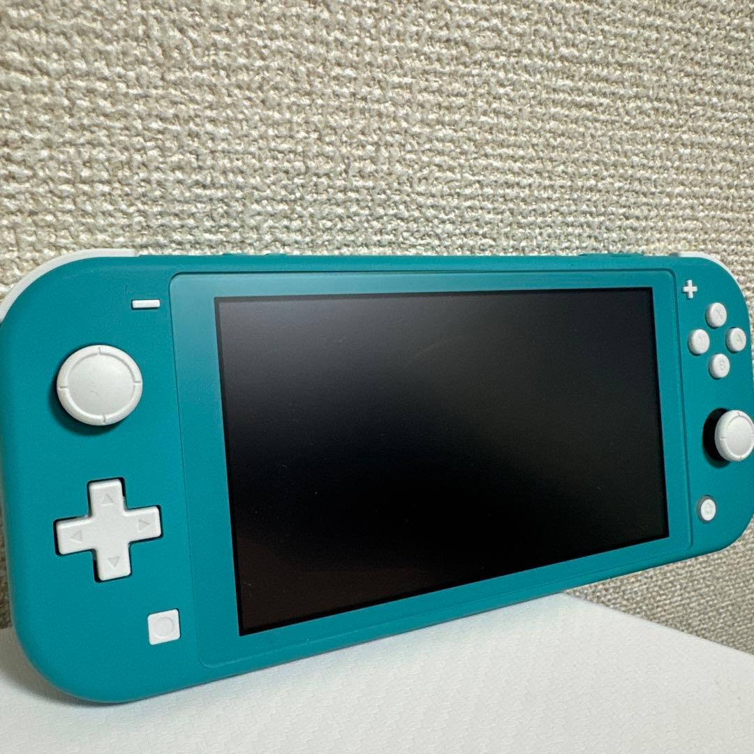 美品 Nintendo Switch Lite本体充電器保護ケース付き即使用OK