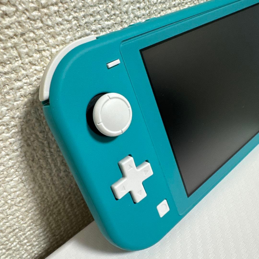 美品 Nintendo Switch Lite本体充電器保護ケース付き即使用OK