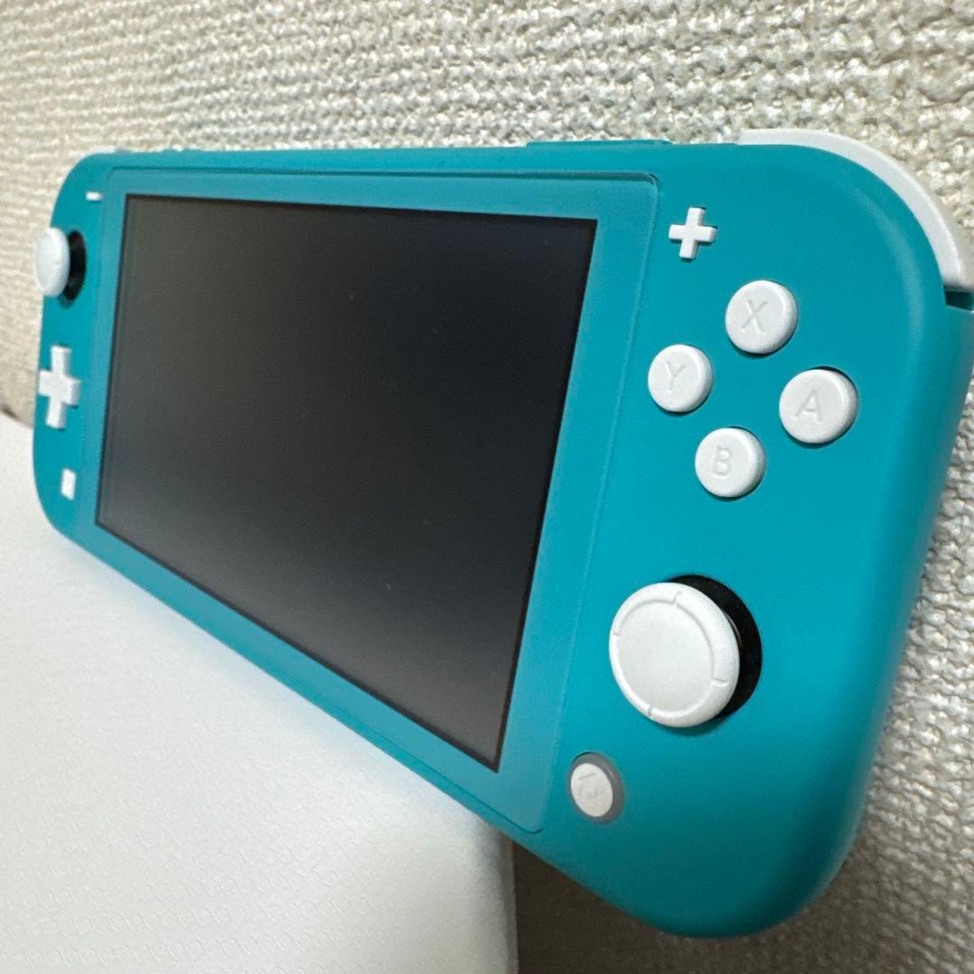 美品 Nintendo Switch Lite本体充電器保護ケース付き即使用OK
