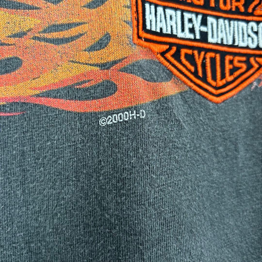【超最高】ハーレーダビッドソン　Tシャツ　フレイム　刺繍　2000年　XL
