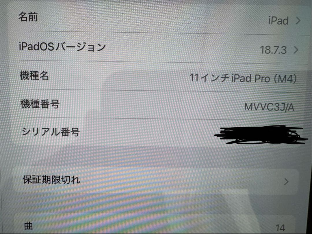 極美品　11インチ iPad Pro (M4) 本体　256gb