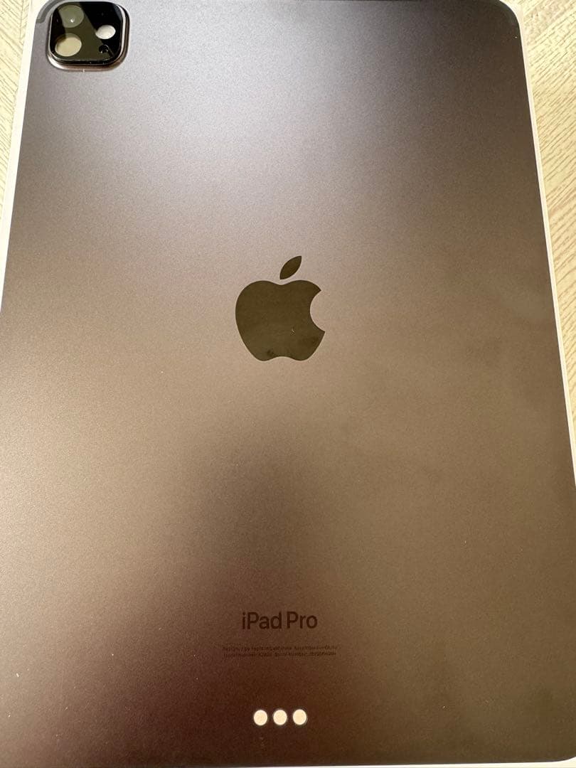 極美品　11インチ iPad Pro (M4) 本体　256gb