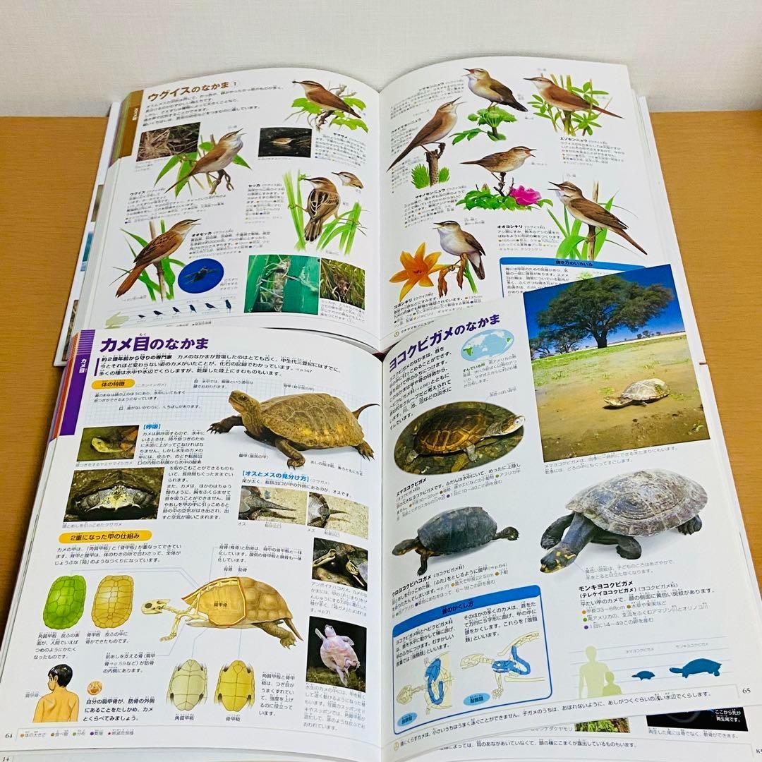 Q56【9冊】小学館の図鑑NEO 動物　鳥　魚　プレ　絵本 セット まとめ売り