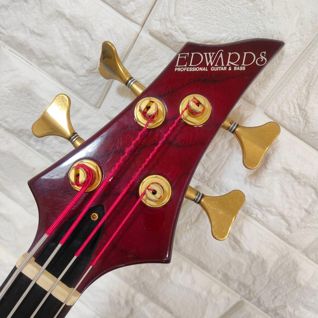 EDWARDS E-TN by ESP FOREST レインディア トナカイ