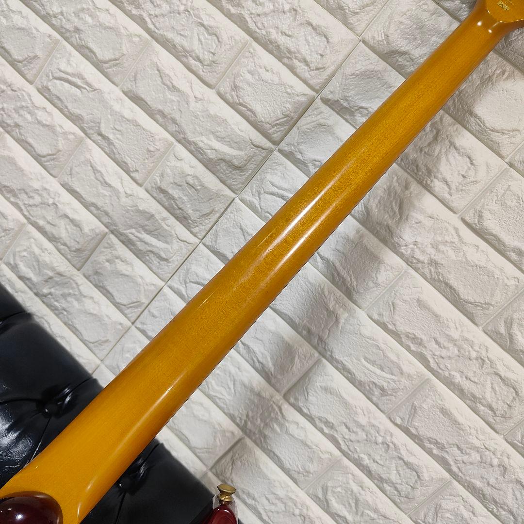 EDWARDS E-TN by ESP FOREST レインディア トナカイ