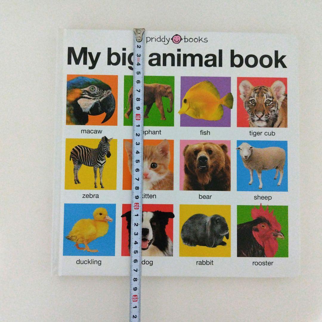 ☆商品確認用·在庫無し☆My big animal book　英語