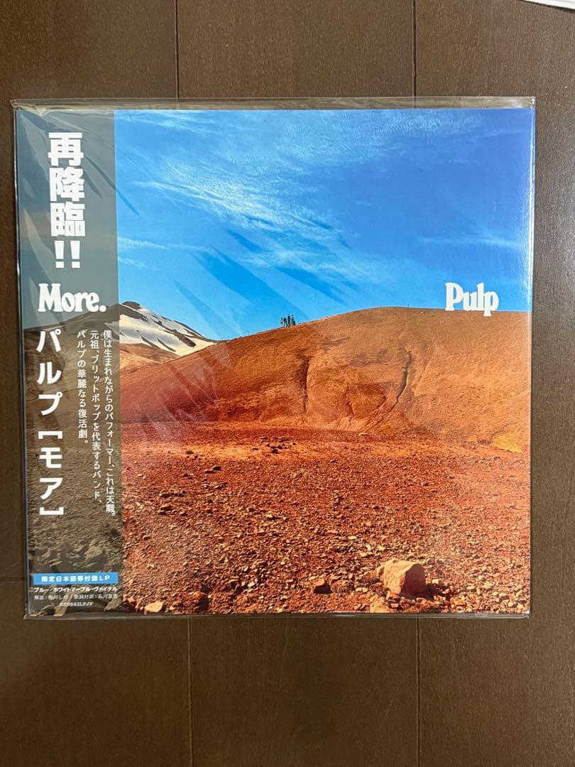 PULP LP レコード アナログ スウェット Tシャツ ステッカー パルプ