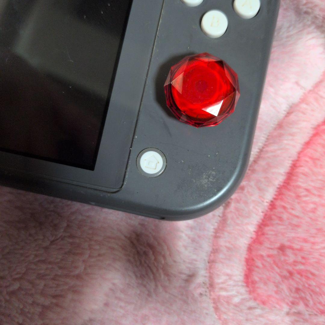 Switch Light スイッチライト ジャンク 本体 ブラック