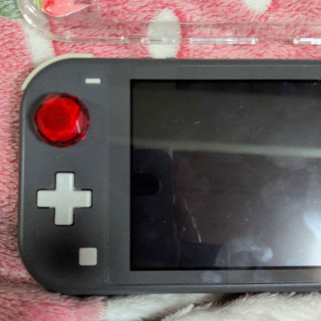 Switch Light スイッチライト ジャンク 本体 ブラック