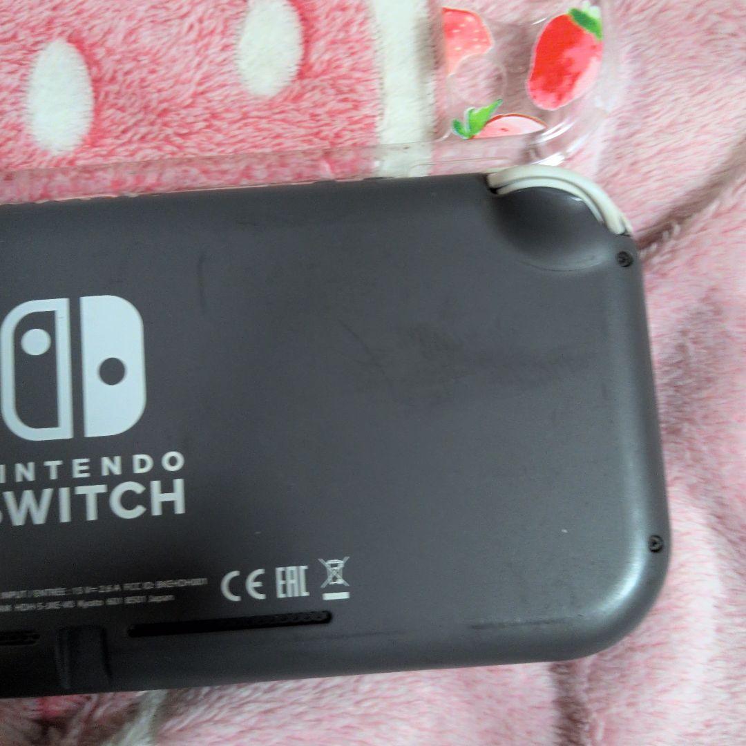 Switch Light スイッチライト ジャンク 本体 ブラック