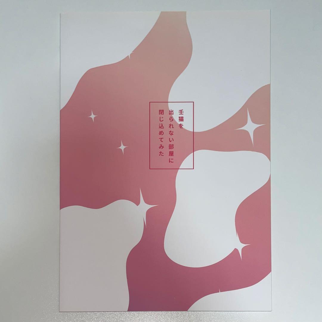 薬屋のひとりごと　同人誌　15