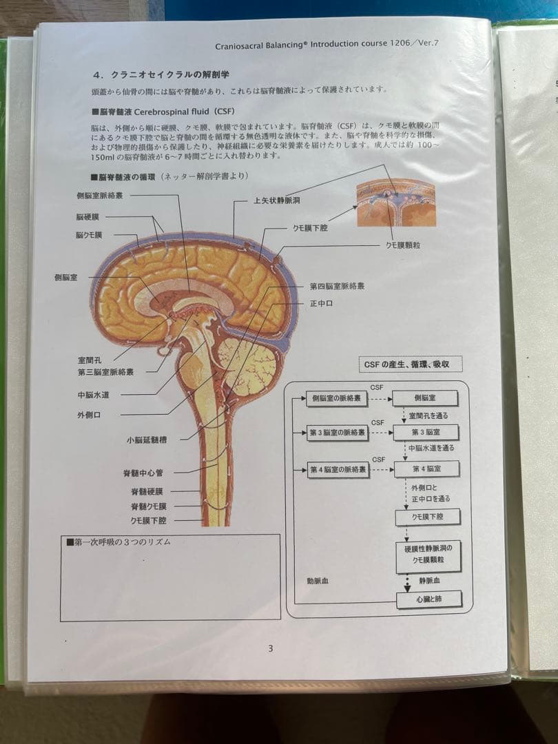 （非売品）大人気療術セミナー、テキストセット