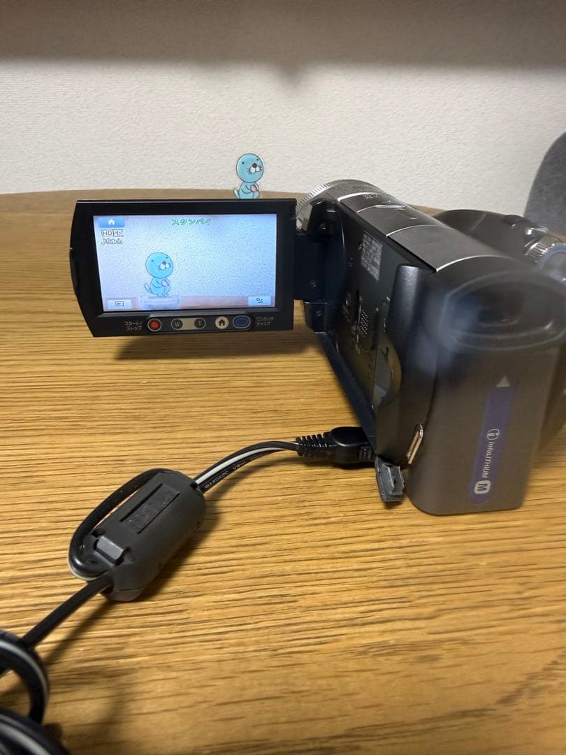 【動作品】SONY HDR-SR1 120GB ハンディカム ナイトショット