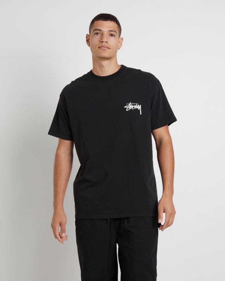 ☆ STUSSY HOW WE'RE LIVIN TEE ☆