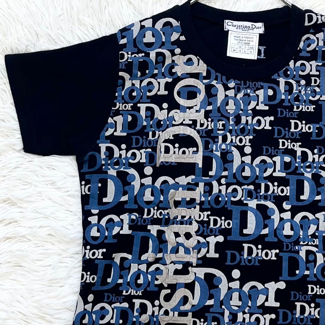 【名作】希少44サイズ　ガリアーノ期　Dior Tシャツ　トロッター　正規品