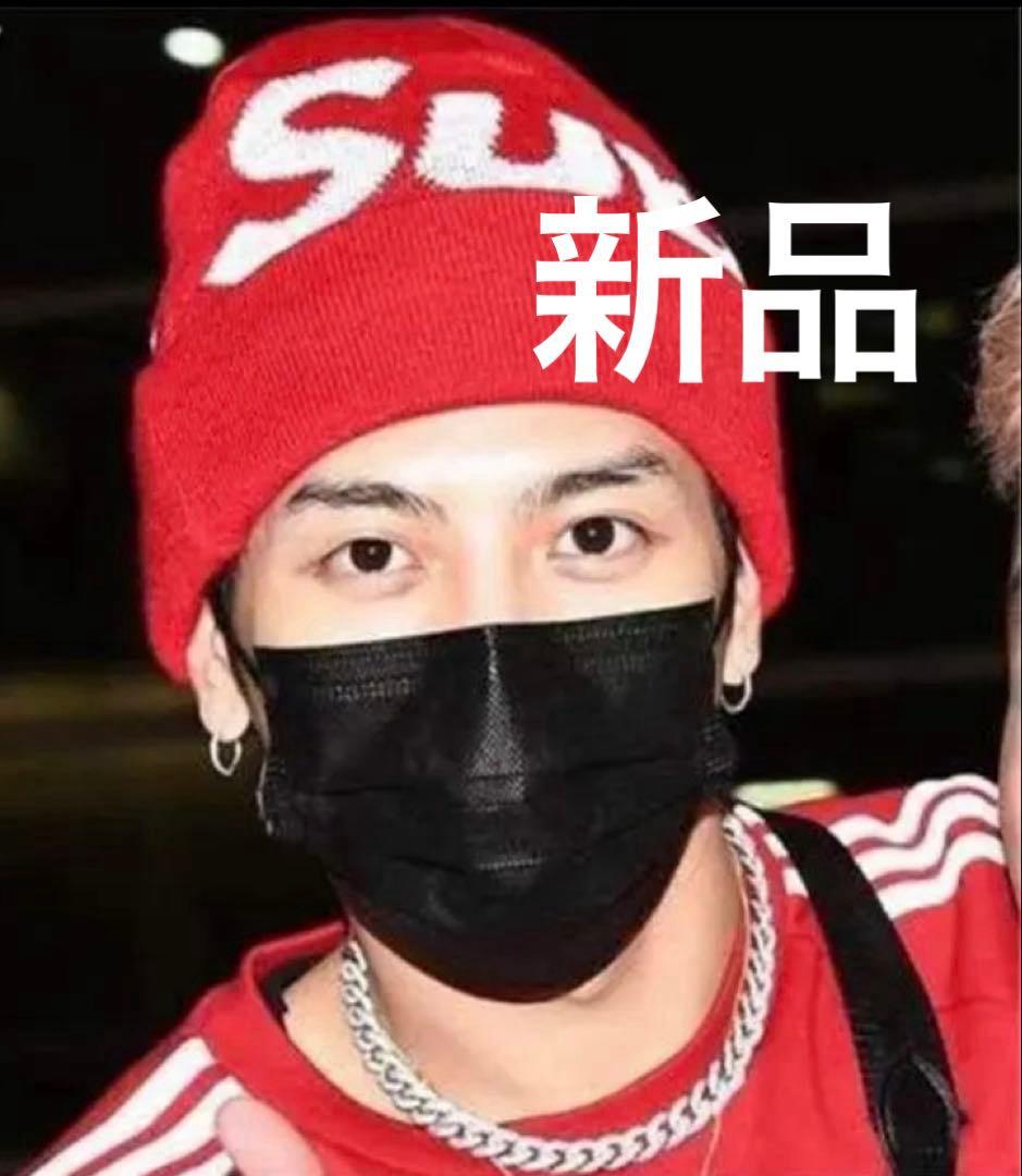 24時間以内発送 完売品 新品 希少カラー Big Logo Beanie