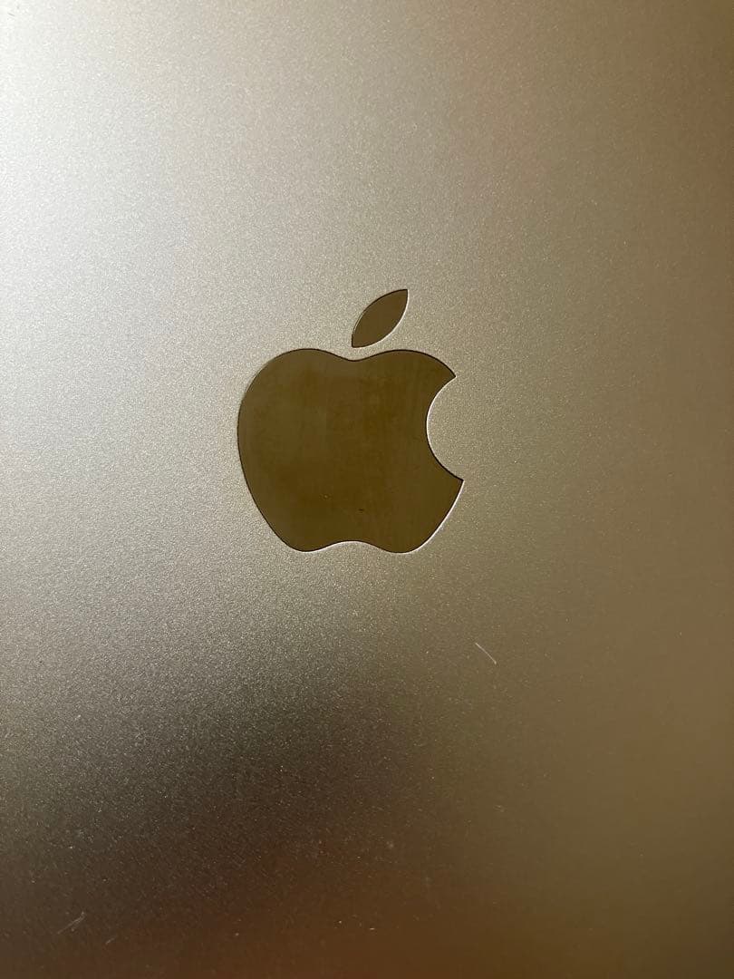 w*n様 Apple iPad (モデルA1538) ゴールド