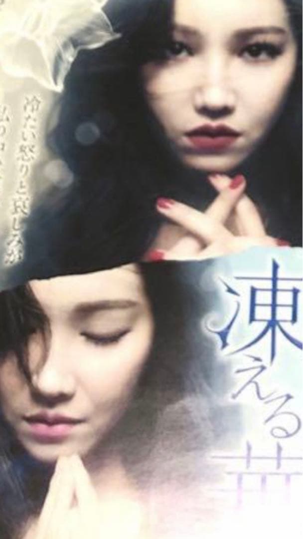 イ・ユリ主演dvd全巻まとめ売り。