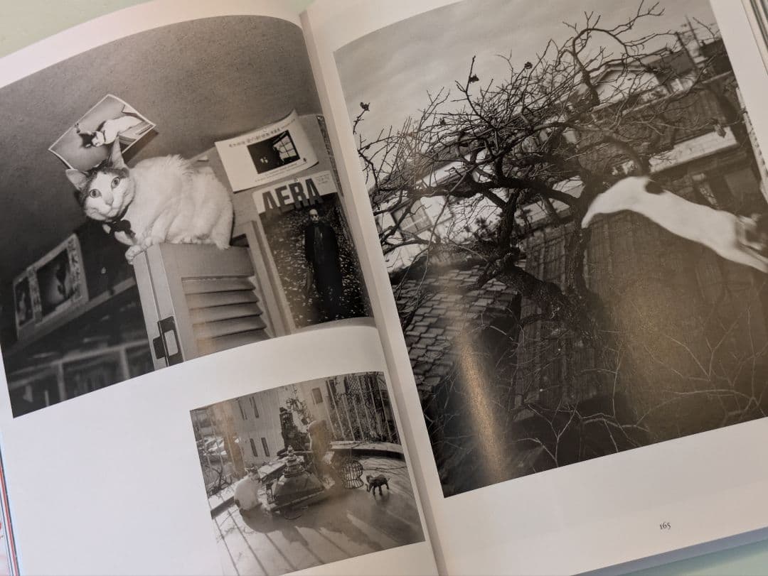 【新品】Araki / Taschen 荒木経惟 アラーキー タッシェン
