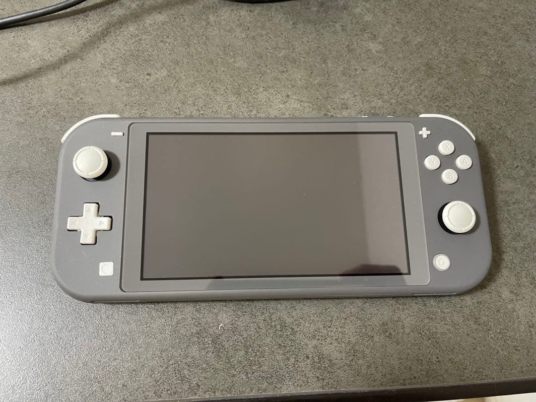 Nintendo Switch Lite グレー 充電器付き　ケース付き