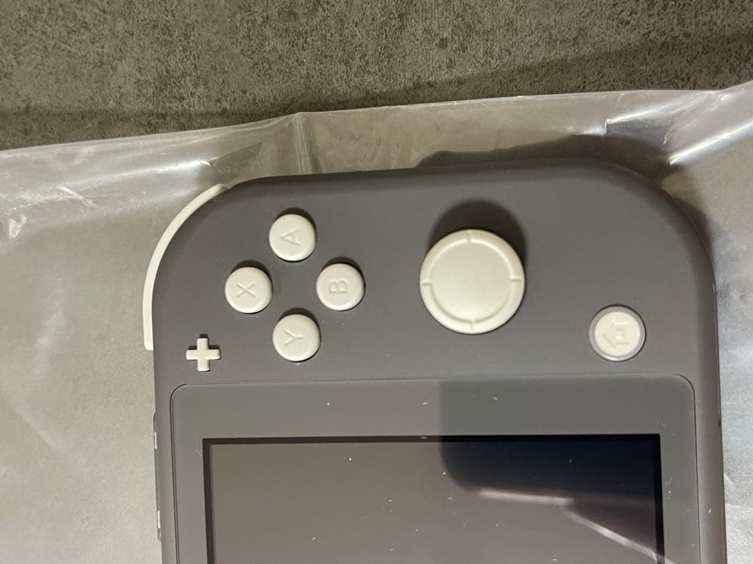 Nintendo Switch Lite グレー 充電器付き　ケース付き