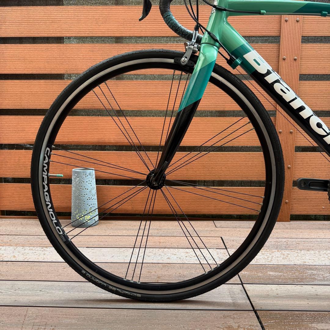 ビアンキ VIANIRONE 7 Tiagra10速SIZE53 カンパニョーロ