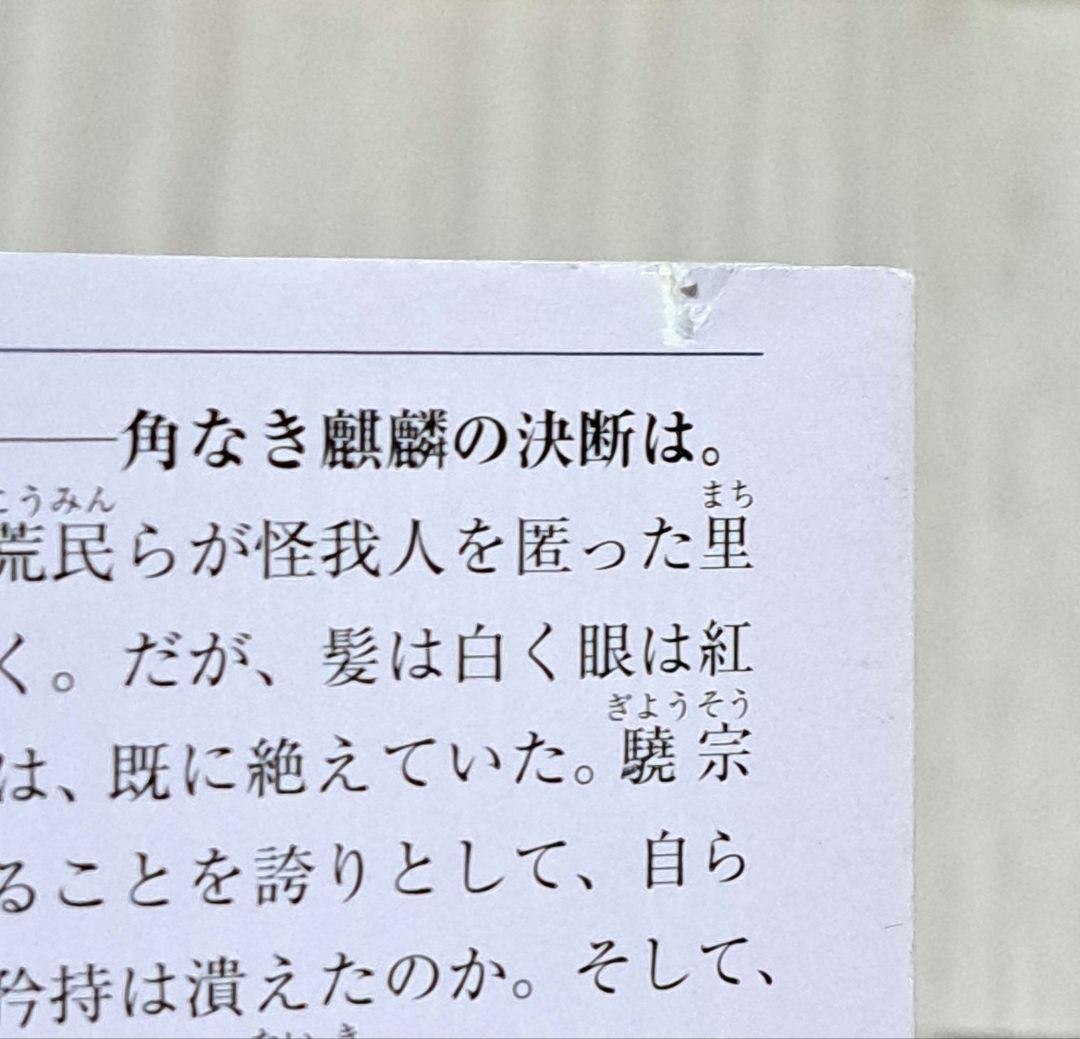 十二国記 1~11巻 ＋ 丕緒の鳥 白銀の墟玄の月 1~4巻 + アニメ脚本集